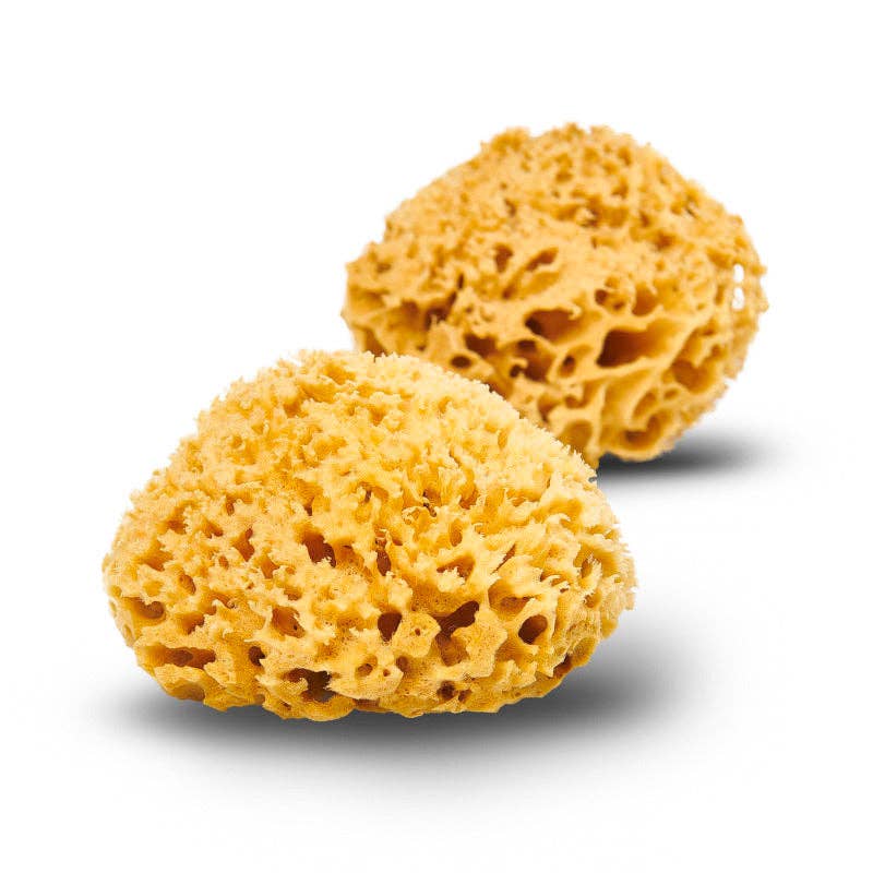 Two yellow sponges on a white background