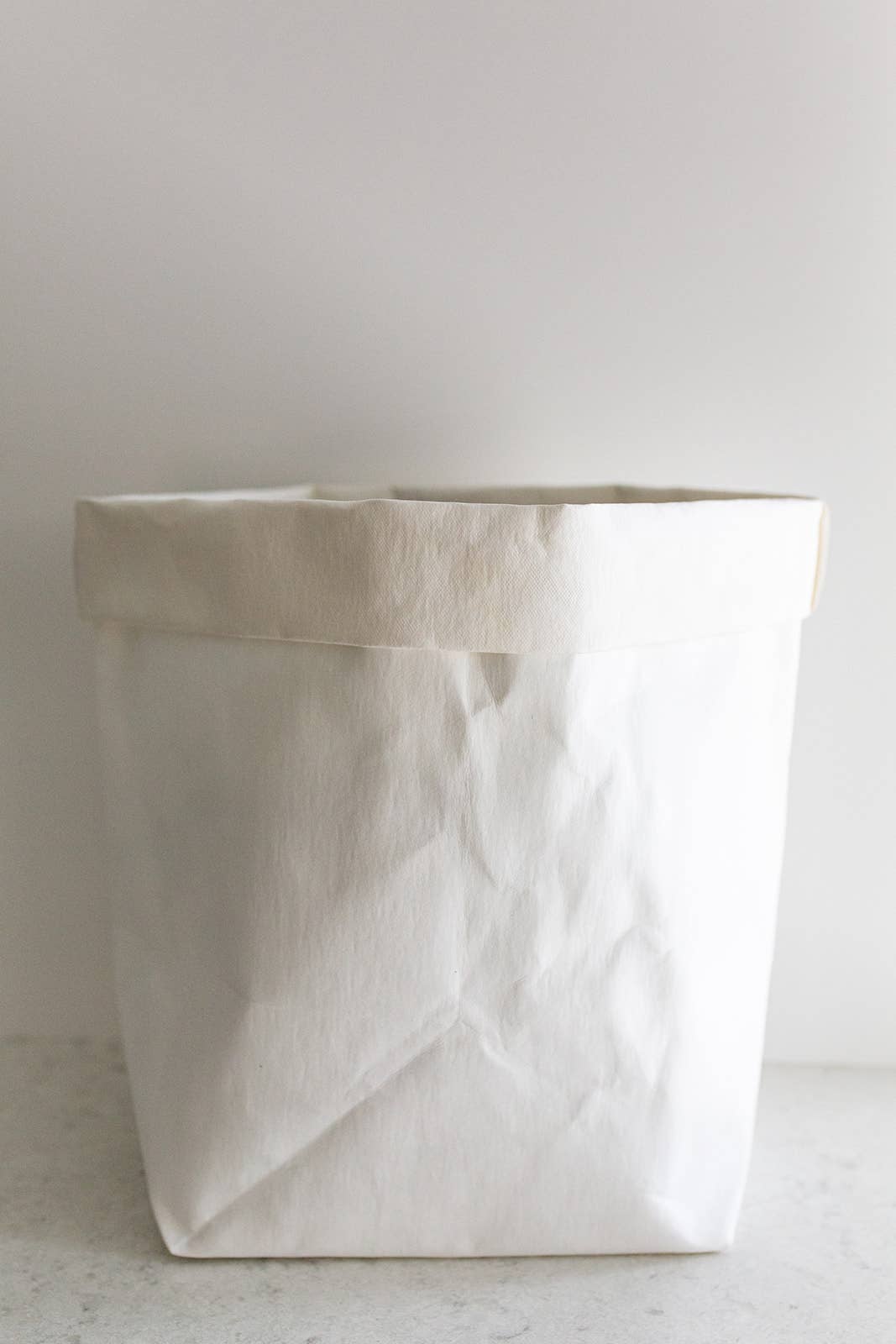 Large Washable Paper Bag