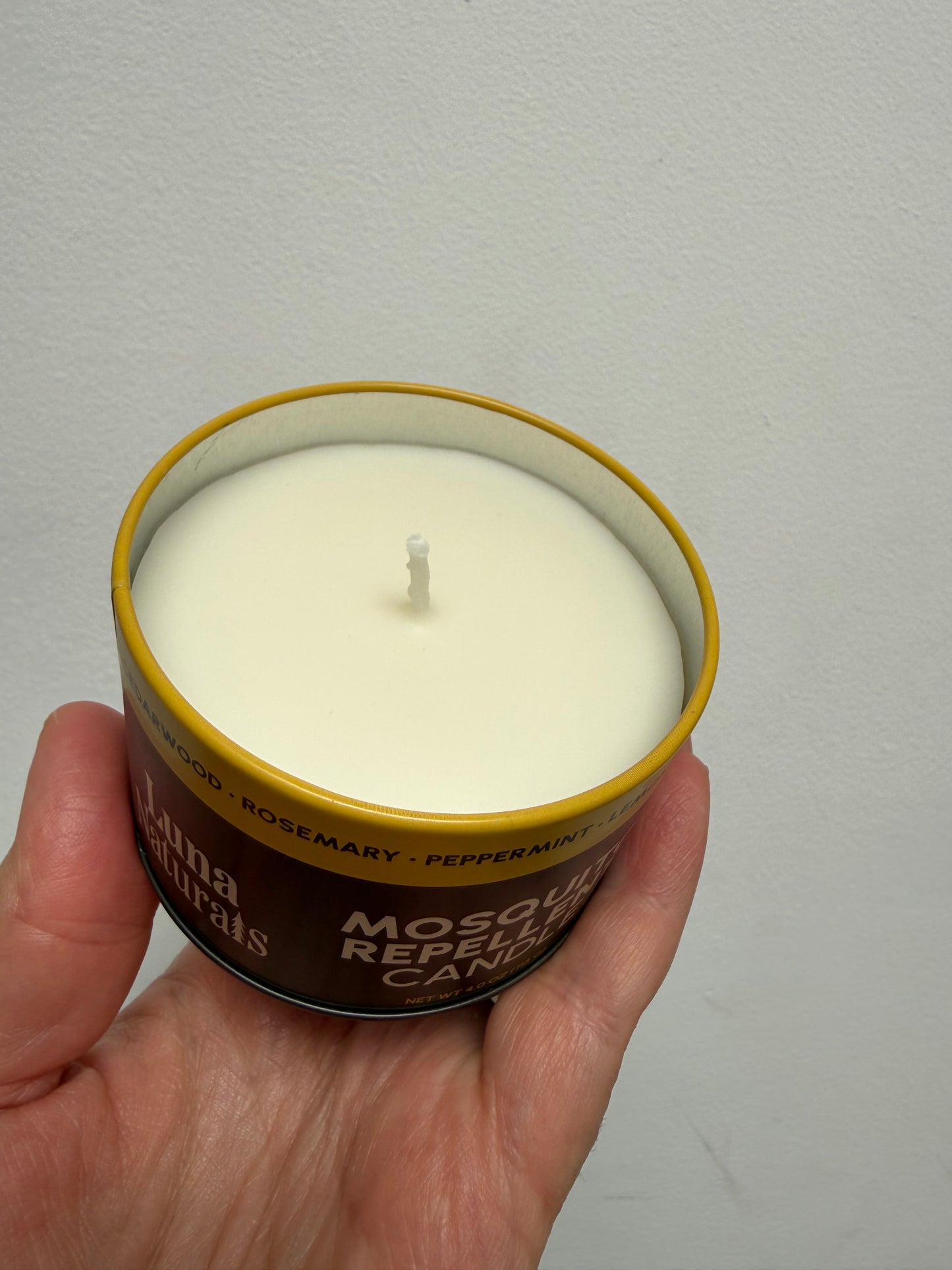 A hand holding a small candle in a round tin container against a plain light gray wall. The candle wax is off-white, and the tin has a gold rim and a dark brown label with white text.