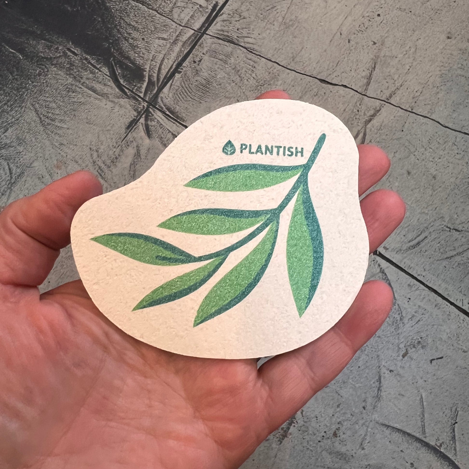 hand holding sponge: leaf pattern