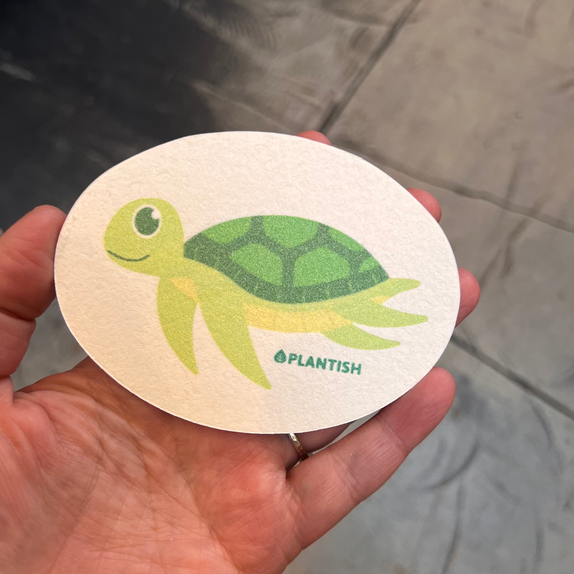 hand holding sponge: sea turtle pattern