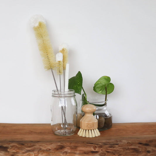 Bottle Brush Cotton Top | Large | Cup Brush