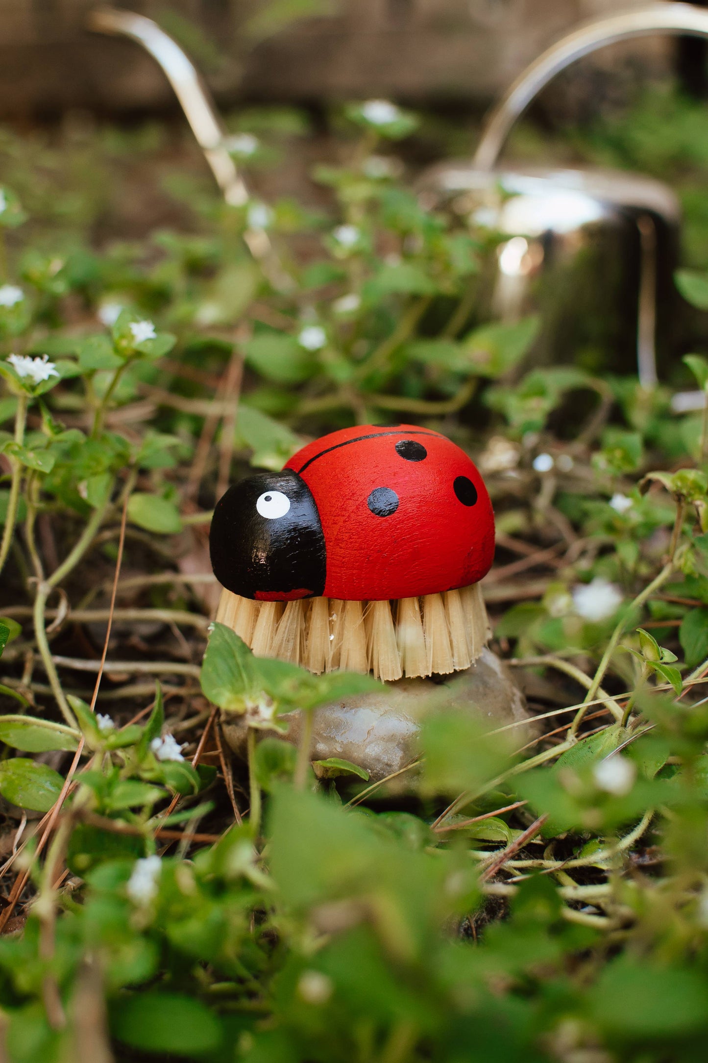 Red ladybug-shaped brush on a grassy background