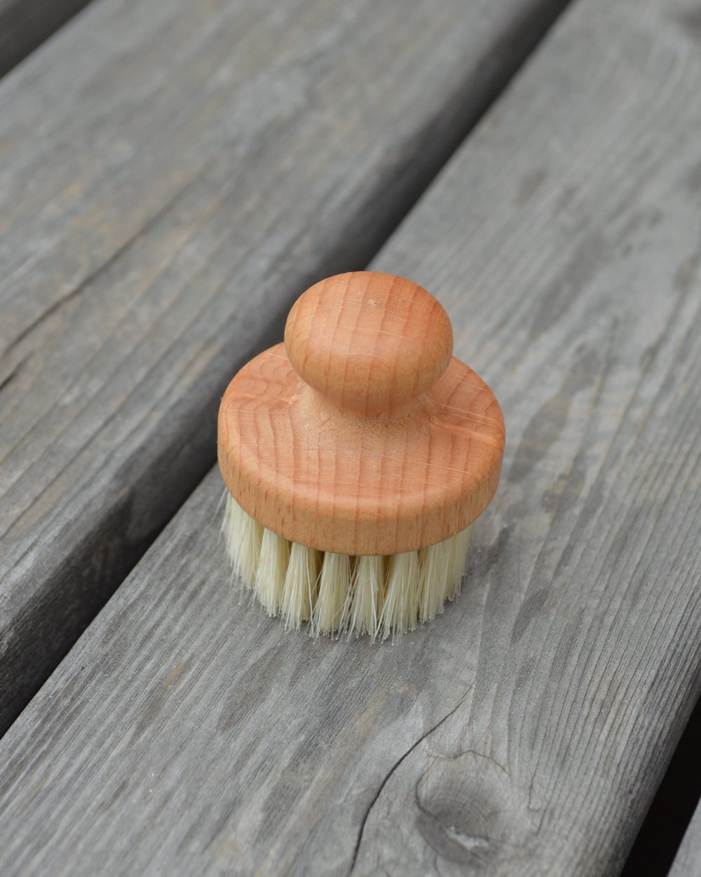 Round Facial Brush