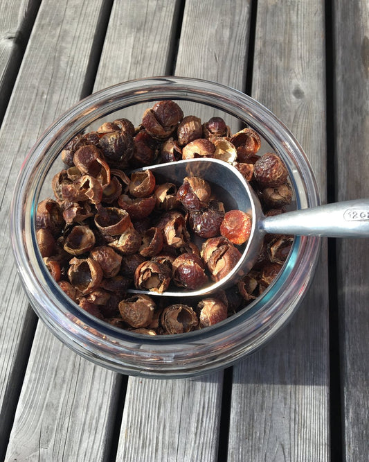 Organic Soap Nuts