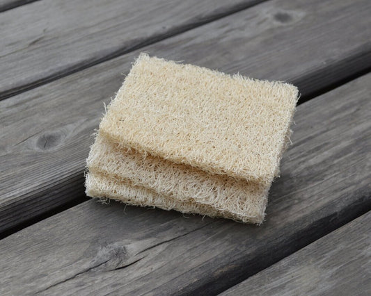 Natural Loofah