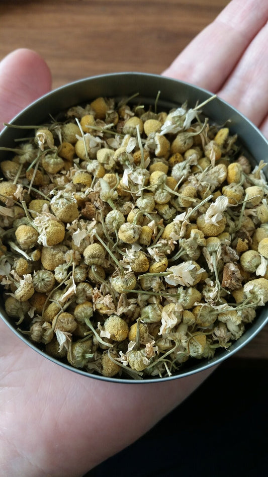 Chamomile Flowers