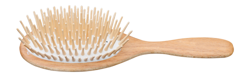 Hair Brush with Wooden Pins