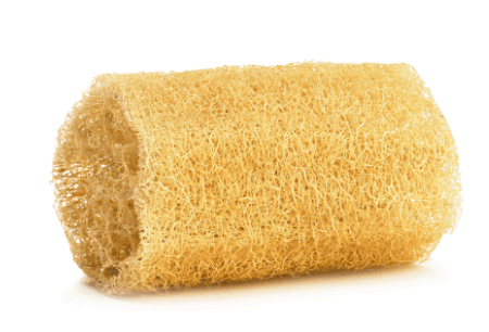 Natural Loofah