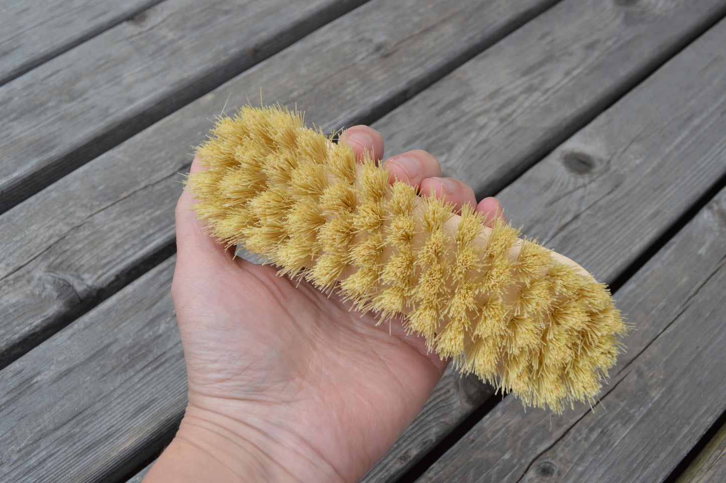 Scrub Brush - Medium