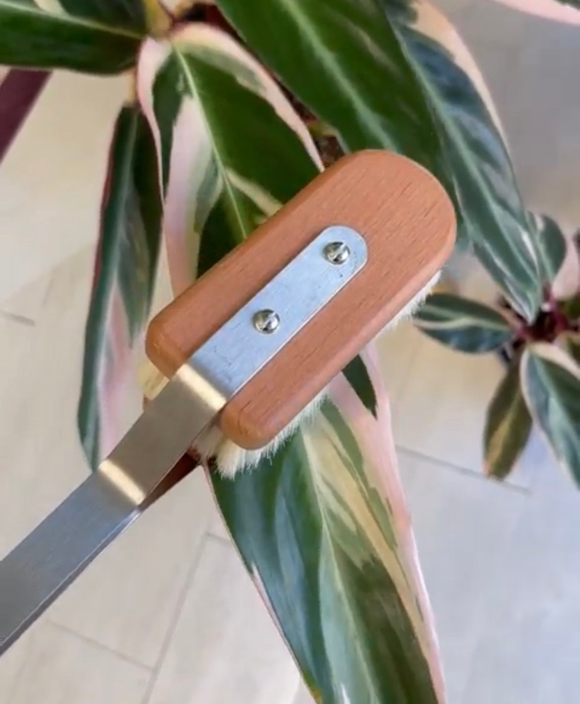 Leaf Brush for House Plants