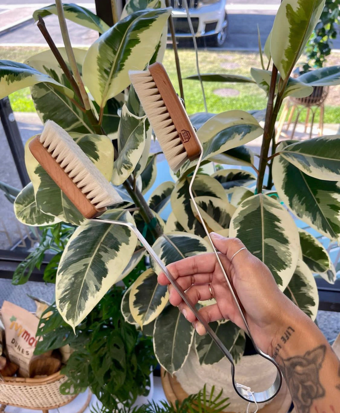 Leaf Brush for House Plants