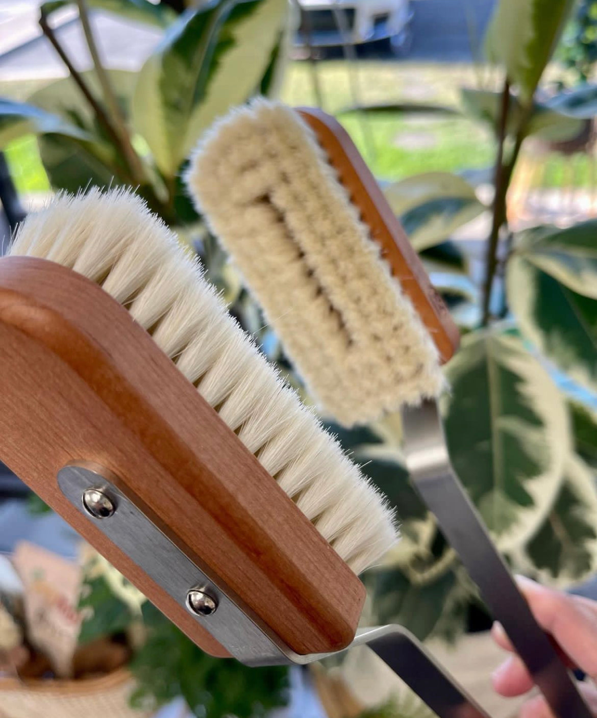 leaf cleaner for indoor plants Redecker Plant Brush