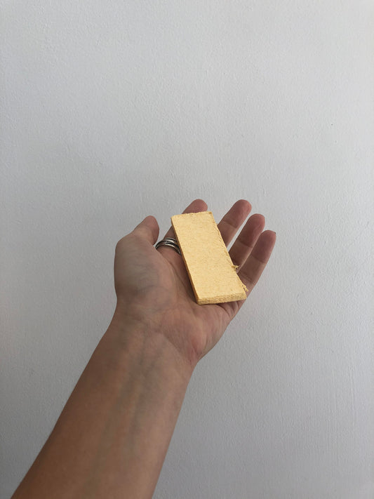 Compostable Sponge