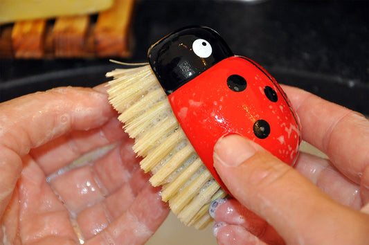 Red ladybug-shaped brush held by hands with a blurred background