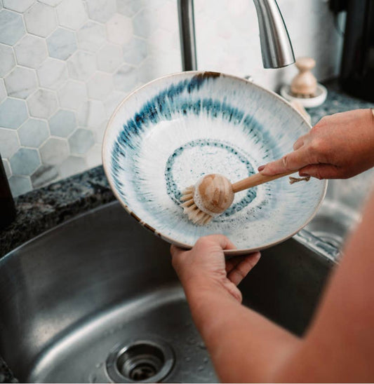 Bamboo Long Handle Dish Brush