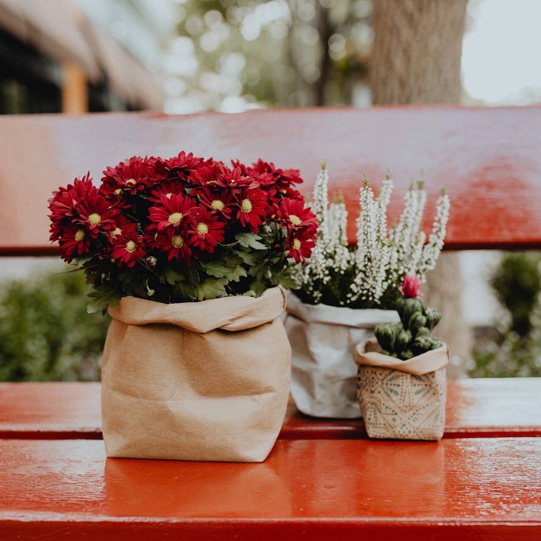 Small Washable Paper Bag