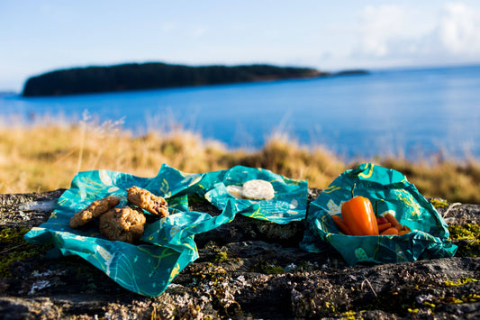 New! Lunch 3 Pack - Oceans Print