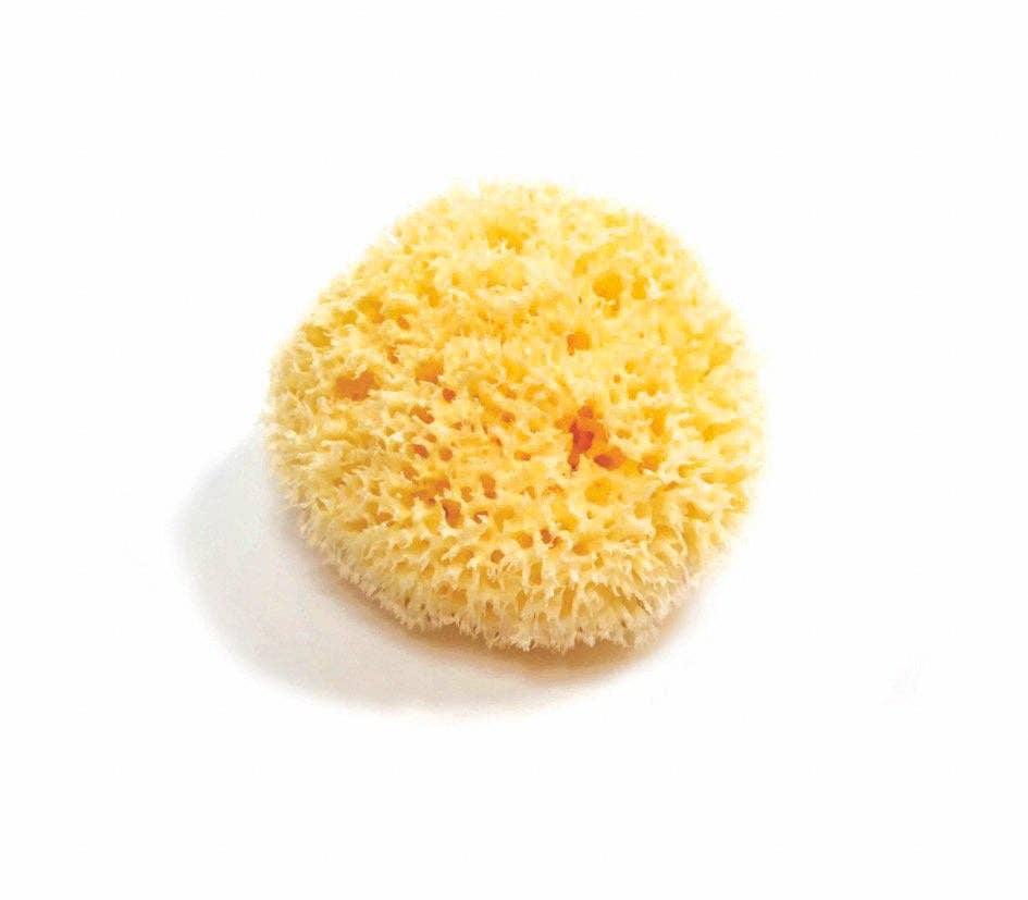 Yellow sponge on a white background