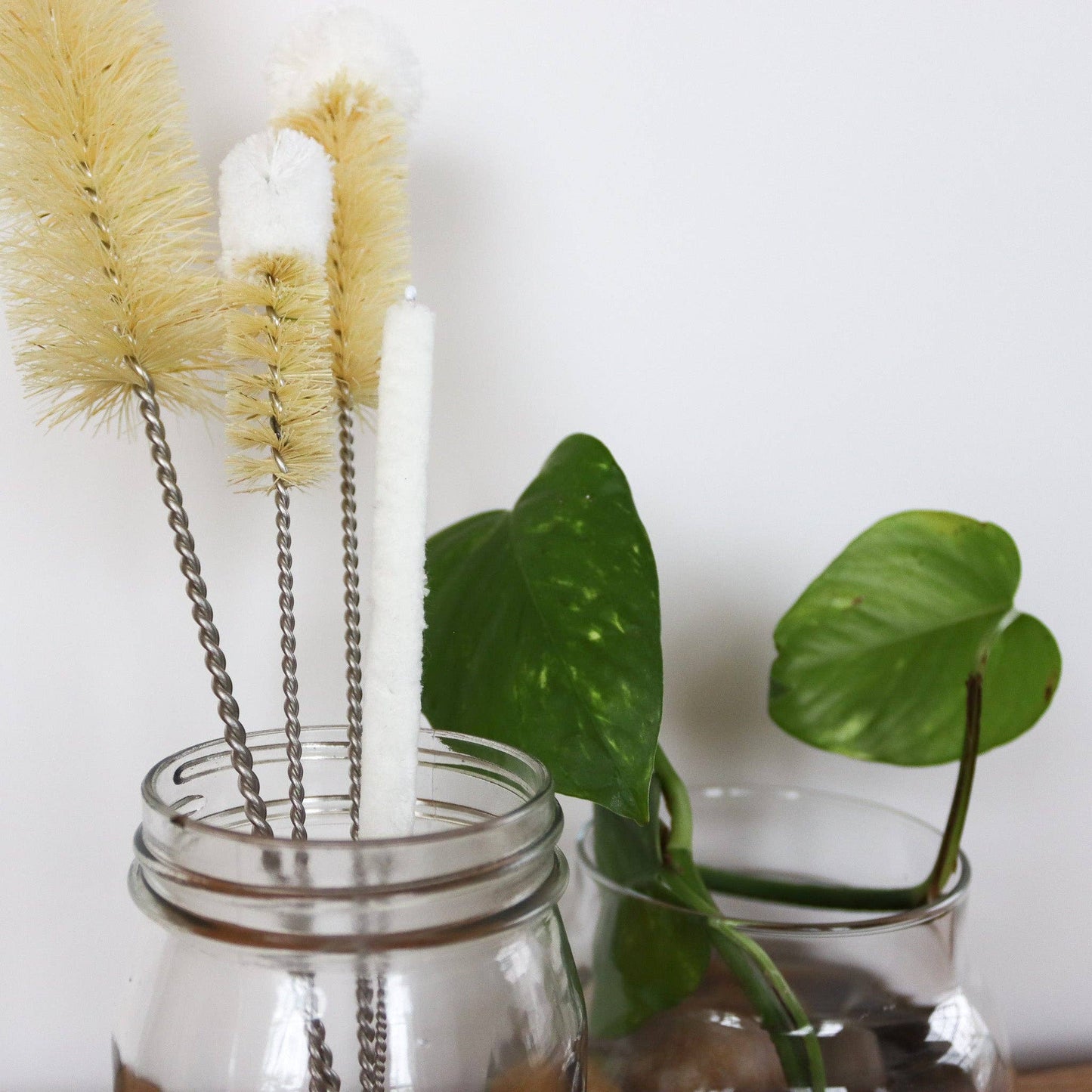 Glass jars with bottle brushes and a plant on a white background