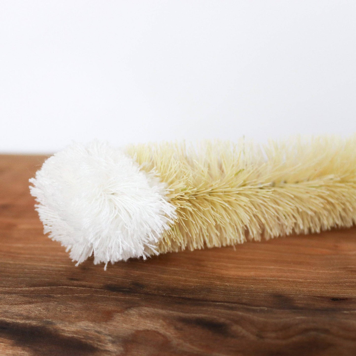 Bottle Brush Cotton Top | Large | Cup Brush