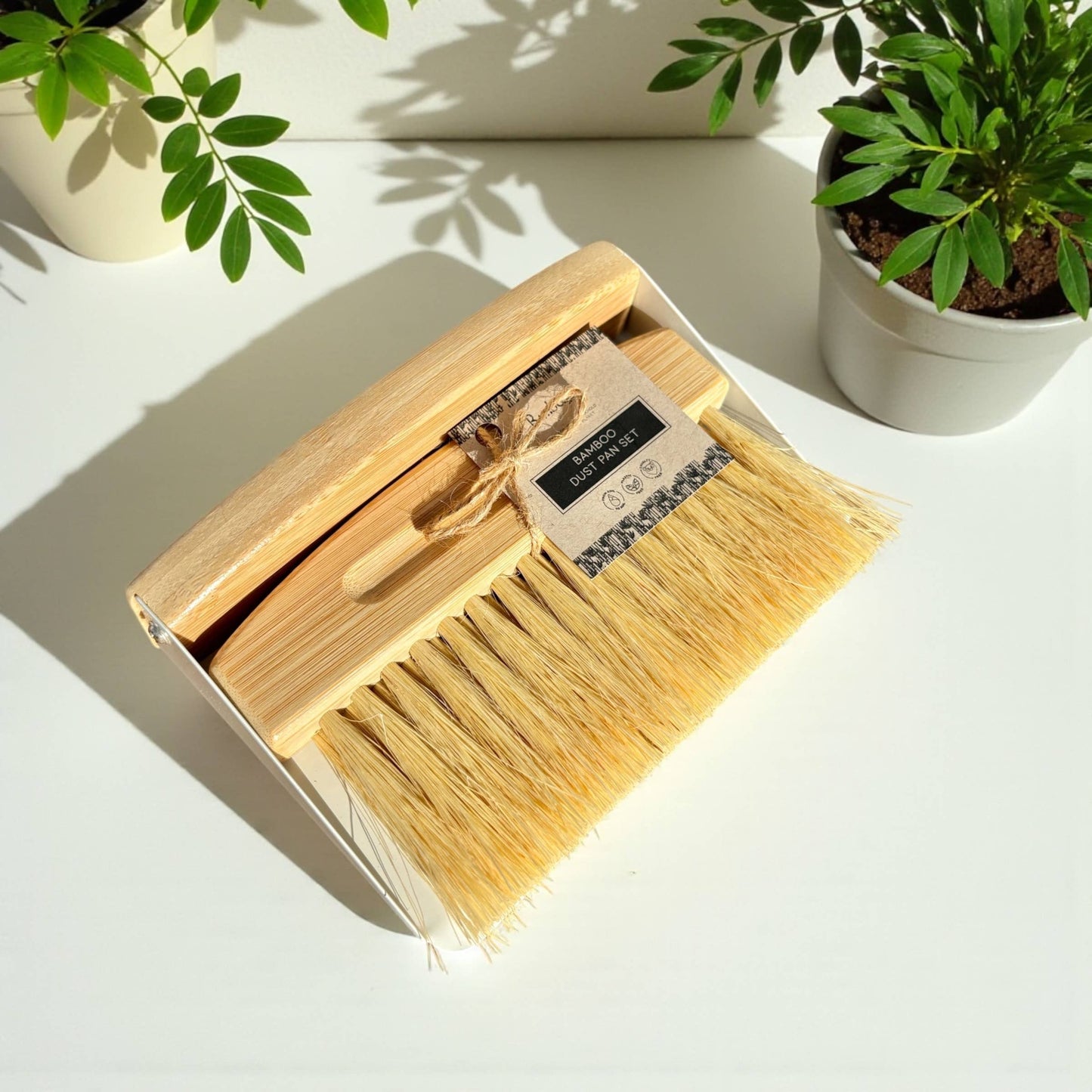 Wooden brush with natural bristles in a box on a light surface with plants in the background