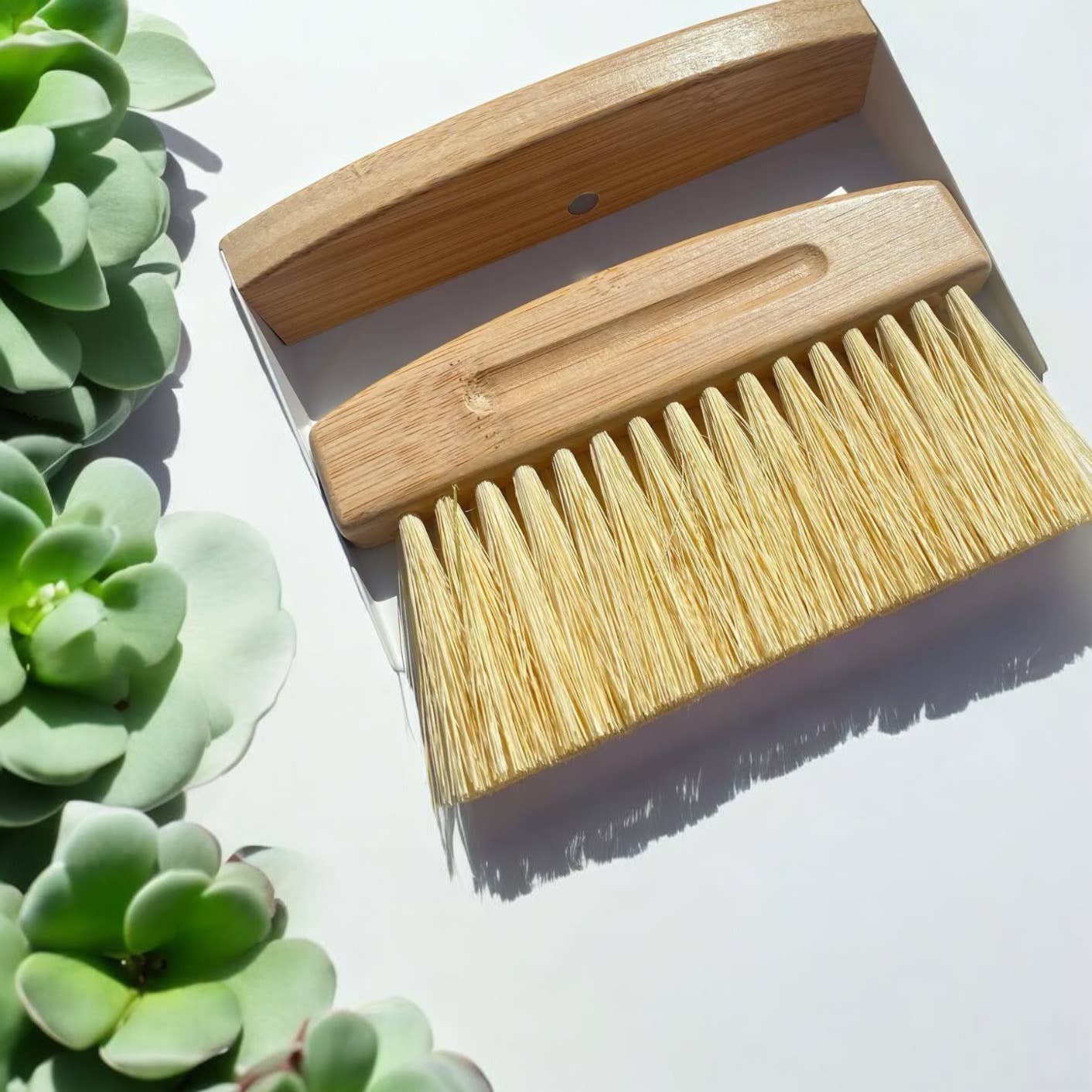 Wooden brush with bristles on a white background with succulents