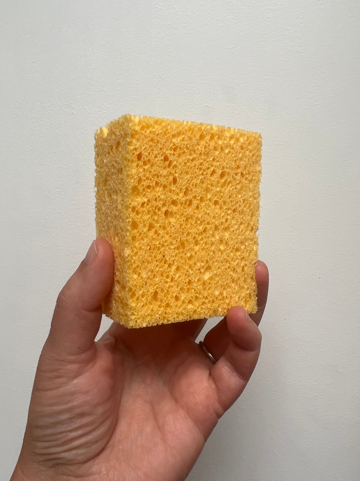 Compostable Sponge