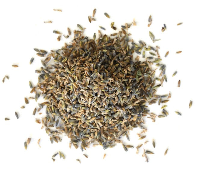 Dry lavender flowers on a white background