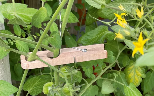 Planting Clamps