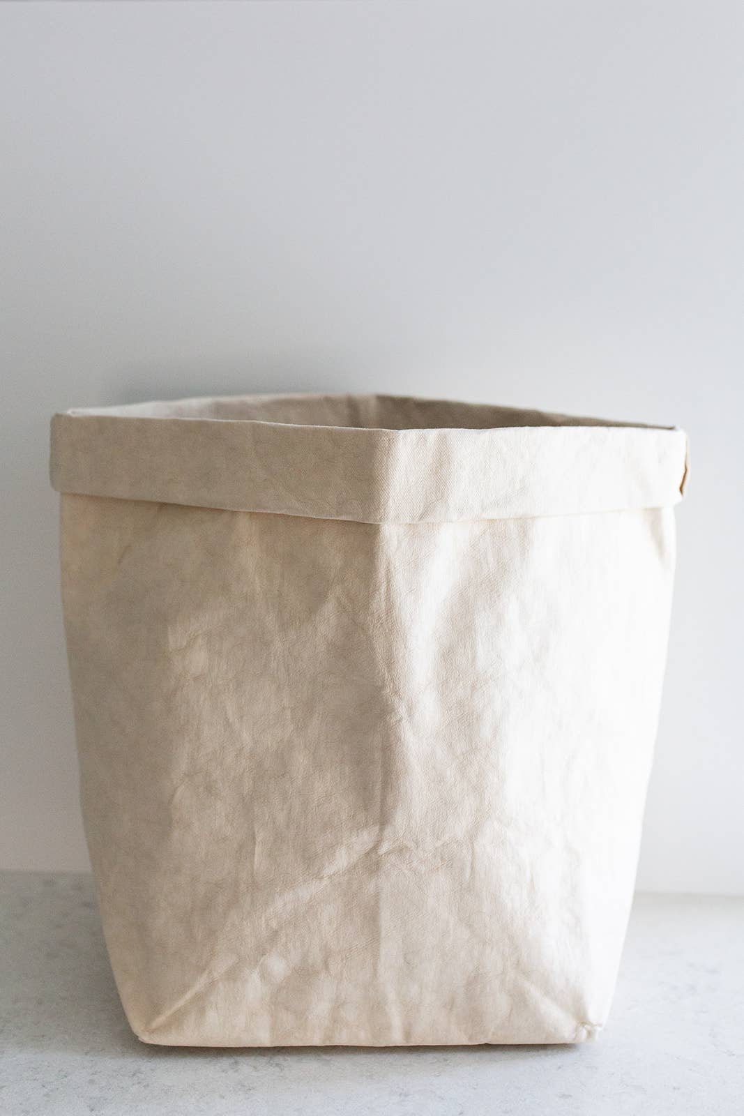 Large Washable Paper Bag