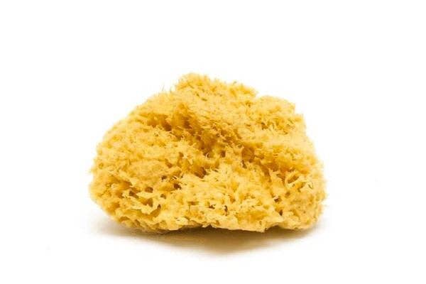 Yellow sponge on a white background
