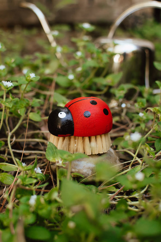 Red ladybug-shaped brush on a grassy background