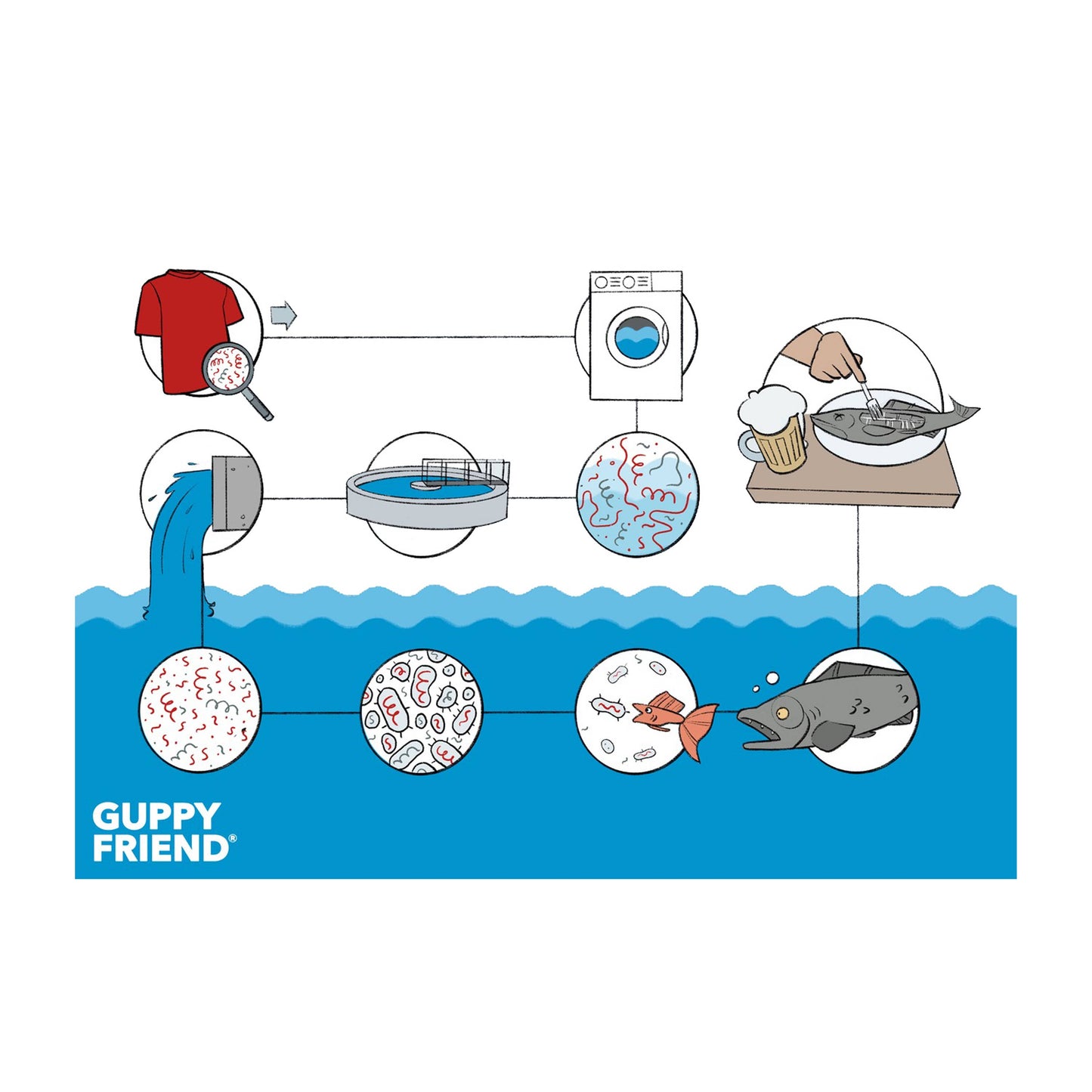 Diagram showing the lifecycle of a fish with various stages including clothes, water treatment, and consumption.