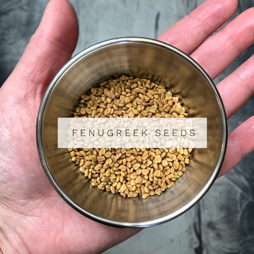 Fenugreek Seeds | Bulk
